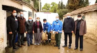 Büyükşehir Belediyesi Çine çaparını koruma altına aldı