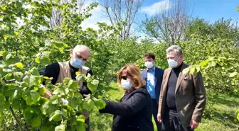 TARSİM'den Giresun'a ve Ordu'ya ziyaret