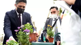 Aliağa'da balkonlar çiçek açtı