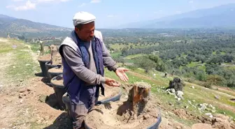 Bozdoğan'da kesilen zeytin ağaçları için vatandaşlar tepkili