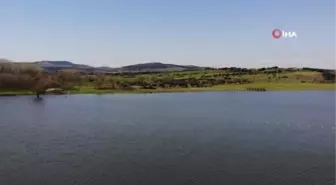 Ömerli Barajının içine dikenli tel çekildi, bölgede bulunan canlılar zarar gördü