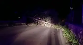 Etkili olan fırtına hayatı olumsuz etkiledi