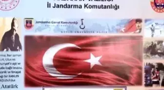 Ardahan'da kumarbazlara ceza yağdı