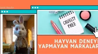 Hayvanlar üzerinde deney yapmayan markalar! Dalin hayvanlar üzerinde test yapıyor mu?