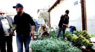 Sarıgöl'de sebze fide satışlarına büyük ilgi