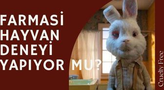 Farmasi hayvan deneyi yapıyor mu? Farmasi hayvanlar üzerinde deney yapıyor mu?