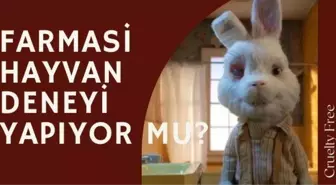 Farmasi hayvan deneyi yapıyor mu? Farmasi hayvanlar üzerinde deney yapıyor mu?