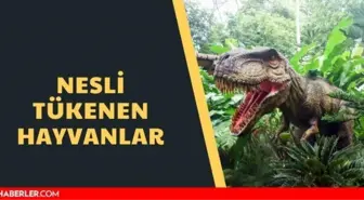 Nesli tükenen hayvanlar hangileridir? Nesli tükenmekte olan hayvanlar hangileridir?