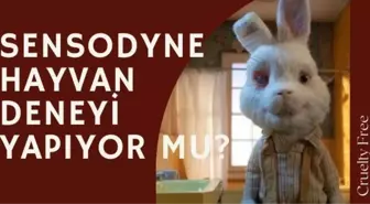 Sensodyne hayvanlar üzerinde deney yapıyor mu?