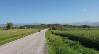 Akrabaları, Derya Yanık'ın Aile ve Sosyal Hizmetler Bakanı olmasının gururunu yaşıyor