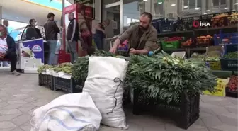 Bağışıklıktan, saç dökülmesine kadar etkili olan 'Gulik'in mesaisi başladı