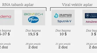 Sinovac aşısı: CoronaVac hakkında neler biliniyor?