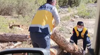 Yolu kapatan kütükleri kaldırıp, hastaya ulaştılar