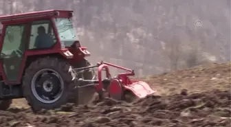 300 dönümlük atıl arazi yeniden tarıma kazandırıldı