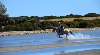 Didim'de alternatif turizm hareketliliği etkinlikle anlatıldı