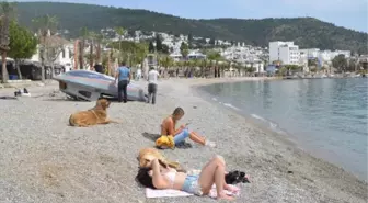 BODRUM PLAJLARI TURİSTLERE KALDI