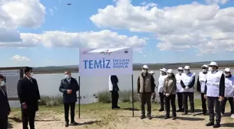 Longoz ormanları temizleniyor