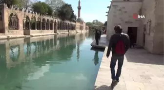 İngiliz turist, Urfa ciğeri yemek için 5 bin kilometre yol geldi