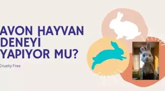 Avon hayvanlar üzerinde deney yapıyor mu?