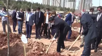 Gazeteciler 'Yeşil Gaziantep' için ağaç dikti