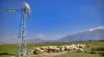 Meraya inşa edilen rüzgargülleriyle yer altı suları hayvanlara içme suyu oluyor