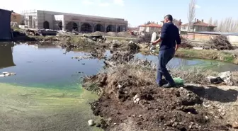 Sinek ve haşere ile mücadele erken başladı