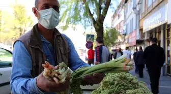 Tunceli'de 'Yayla Muzu' tezgahlardaki yerini aldı