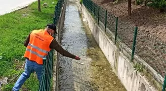 Gediz'de larva ilaçlama çalışmaları başlatıldı