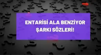 Entarisi Ala Benziyor şarkı sözleri – Kuzeyin Oğlu Volkan Konak programında seslendirilen Entarisi Ala Benziyor şarkı sözleri neler?