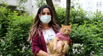 Barınaktan aldığı kedisini bir an olsun yanından ayırmıyor