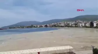 BALIKESİR ERDEK KÖRFEZİ'Nİ DE DENİZ SALYASI KAPLADI