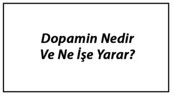 Dopamin Nedir ve Ne İşe Yarar? Dopamin Eksikliği Ne Gibi Sorunlar Oluşturur