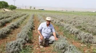 Dicle Elektrik'ten 'Verimli Tarım Hikayeleri'