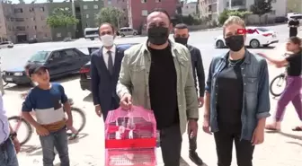 MERSİN 10 YAŞINDAKİ MELİSA'YA MUHABBET KUŞU SÜRPRİZİ