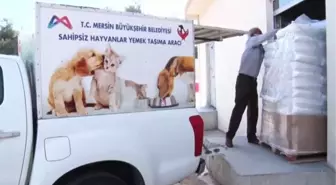 Tam kapanmada sokak hayvanlarına 7 ton mama dağıtılacak