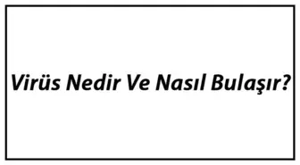 Virüs Nedir ve Nasıl Bulaşır? Virüslerin Özellikleri Hakkında Bilgi