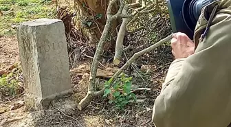 Çiftçinin traktör rotası üstünde olduğu için kaydırdığı taş, iki ülke arasındaki sınırı değiştirdi