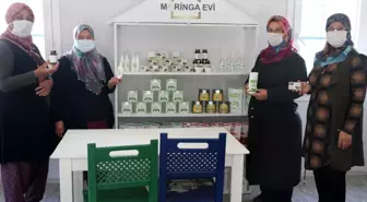 Moringa bitkisi sayesinde iş kadını oldular