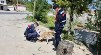 Muğla'da Vefa Sosyal Destek Grubu'nun çalışmaları aralıksız devam ediyor