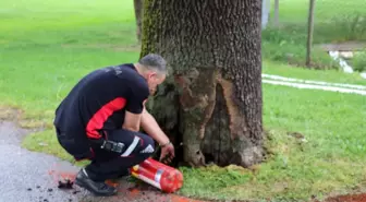 Parkta çıkan ağaç yangını faciaya dönüşmeden söndürüldü