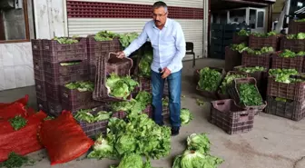 Tonlarca sebze meyve hal esnafının elinde kaldı