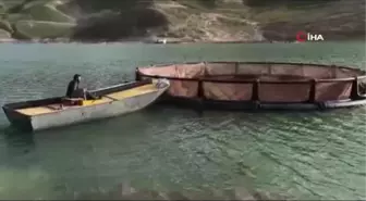 Alabalık tesislerine 2 milyon 400 bin balık aktarıldı