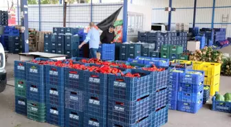 Antalya halinde semt pazarı hareketliliği başladı