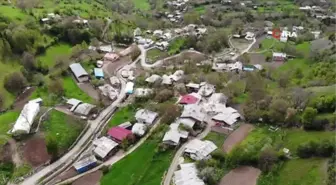 Artvin'de kene kabusu geri döndü