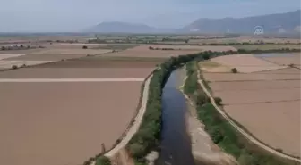 Son dakika haber | Büyük Menderes Nehri'nin Aydın kısmındaki bazı bölümlerinde sular çekildi