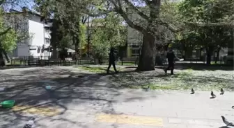 Çubuk'ta 'tam kapanma' günlerinde sokak hayvanları unutulmuyor