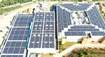 Escon Enerji Novartis'in iki fabrikasına güneş enerji sistemi kurdu
