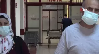 Sevdikleri için böbreklerini 'takas' ettiler