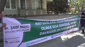 Sokağa atılan yavru kediler sıcak yuvasına kavuştu