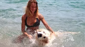 Antalya sahilleri onlara kaldı! Rus turist, köpeğini de 9 kilometre uçak yolculuğuyla tatile getirdi